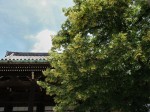 [060616_25.jpg]