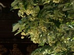 [060616_26.jpg]