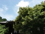 [060616_31.jpg]