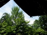 [060616_33.jpg]