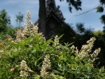 [060616_38.jpg]