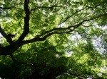 [060616_40.jpg]