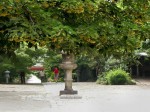 [060623_14.jpg]