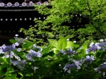 [060623_16.jpg]