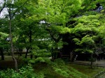 [060623_27.jpg]