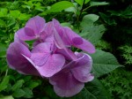 [060623_5.jpg]