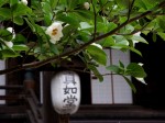 [060623_7.jpg]