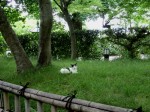 [060630_34.jpg]