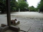 [060707_10.jpg]