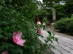 [060707_19.jpg]