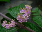 [060707_2.jpg]