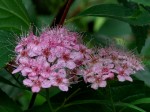 [060707_21.jpg]