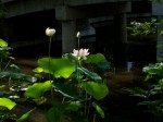 [060714_14.jpg]
