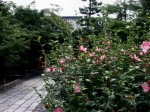 [060714_15.jpg]