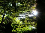[060714_9.jpg]