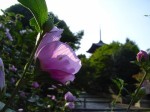 [060728_11.jpg]
