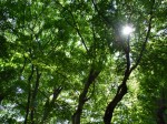 [060728_19.jpg]