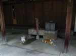 [060804_23.jpg]