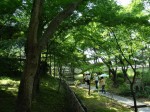 [060804_25.jpg]