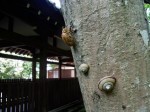 [060804_6.jpg]