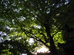 [060811_15.jpg]