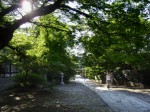 [060811_18.jpg]