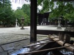 [060818_11.jpg]