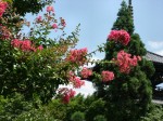 [060825_1.jpg]