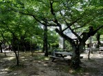 [060825_16.jpg]