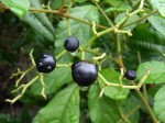 [060901_16.jpg]