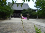 [060901_2.jpg]