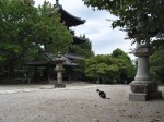 [060901_8.jpg]