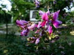 [060922_13.jpg]
