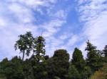 [060922_21.jpg]