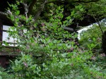 [060922_25.jpg]