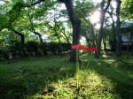 [060922_5.jpg]