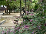 [060929_24.jpg]