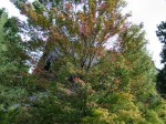 [060929_6.jpg]