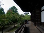 [061020_10.jpg]