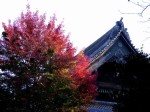 [061110_2.jpg]