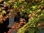 [061110_21.jpg]