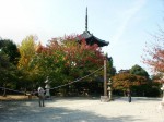 [061110_25.jpg]