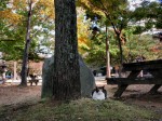 [061110_27.jpg]