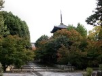 [061110_30.jpg]