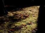 [061117_1.jpg]
