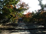 [061117_16.jpg]
