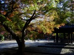 [061117_24.jpg]
