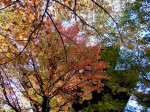 [061117_37.jpg]