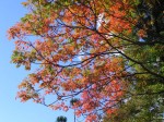 [061117_39.jpg]
