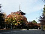 [061117_6.jpg]